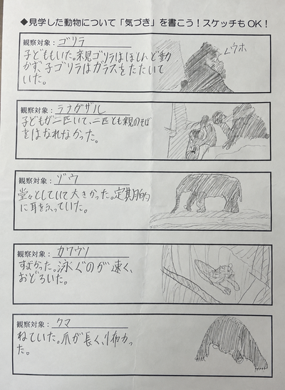 20260519-6de68157f4e5e100e5596cca59e74c9398f29cea.png