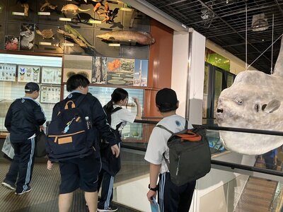 IMG_1858.jpeg