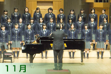11月